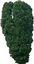 agaclar (17)